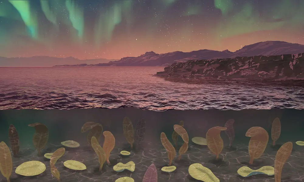 以埃迪卡拉动物群为特征的海洋横截面插图, 包括狄更逊水母, 在水下，天空中闪耀着极光.